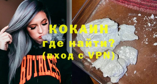 прущие грибы Абаза