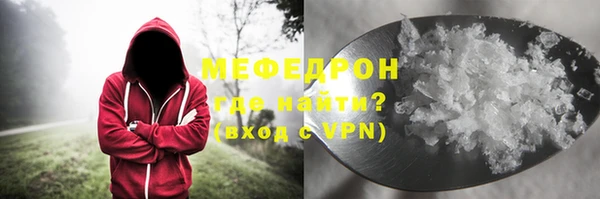 прущие грибы Абаза