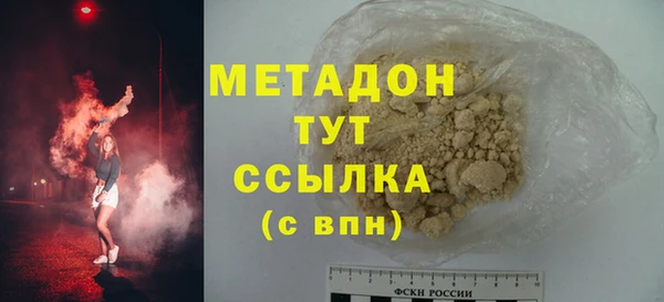 прущие грибы Абаза