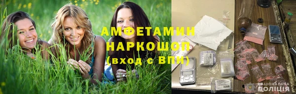 индика Алзамай