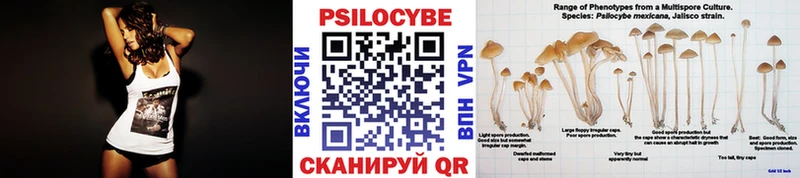 Псилоцибиновые грибы мицелий  что такое   Благодарный 